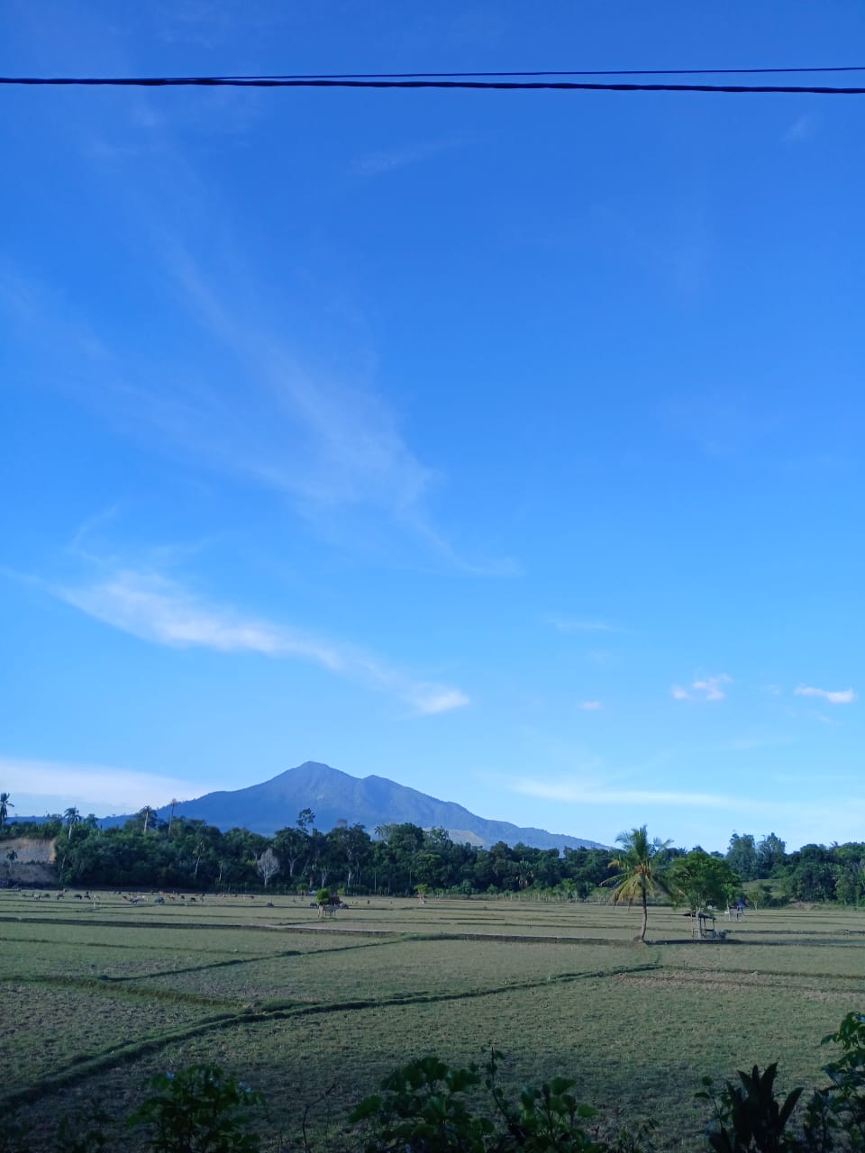 Lahan Pertanian Gampong Keunaloi